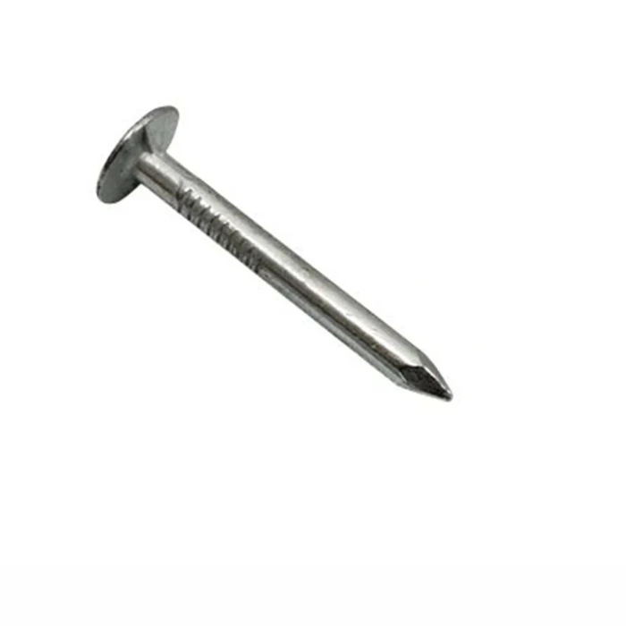 Text